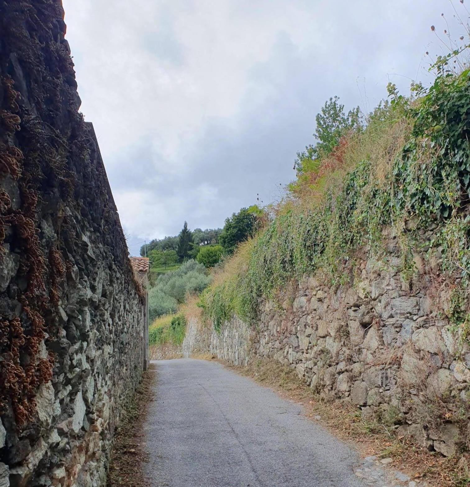 Ca Teodoi Apartman Genova Kültér fotó